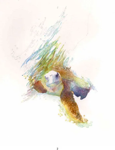 Green turtle.jpg