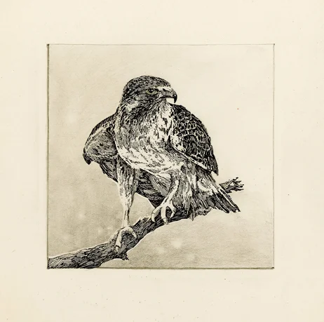 Hawk totem.jpg