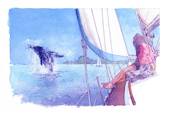 WhaleWatching.jpg