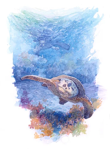 SeaTurtle.jpg