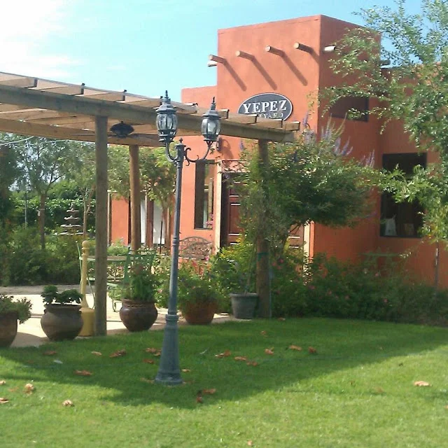 yepez_vineyard_.jpg