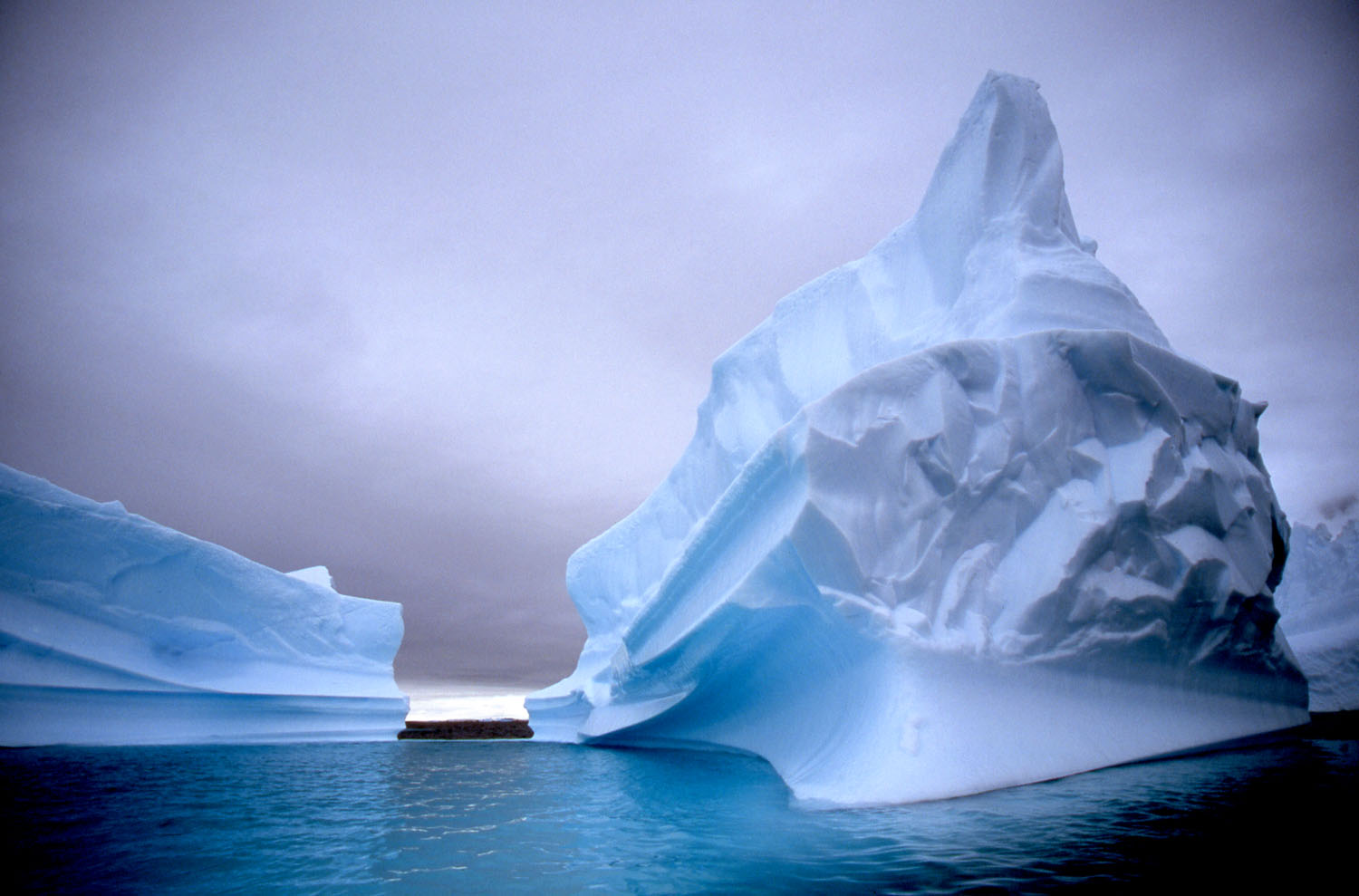 Magnificent Icebergs - Antarctica