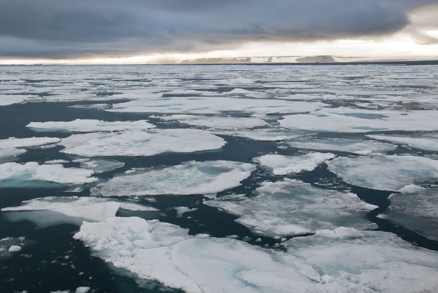 Pack Ice in Svalbard - High Arctic