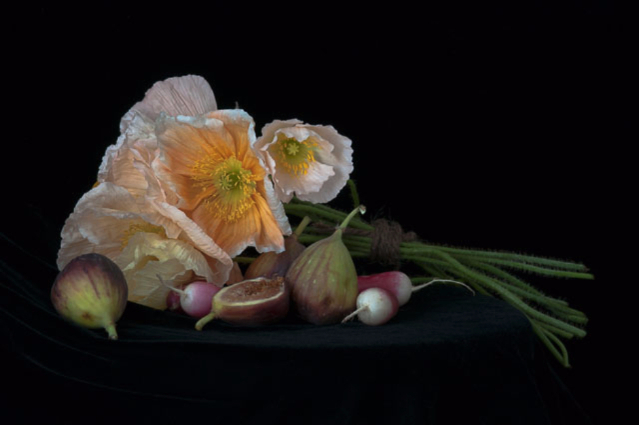 Copyright Lynn Karlin. All Rights Reserved.