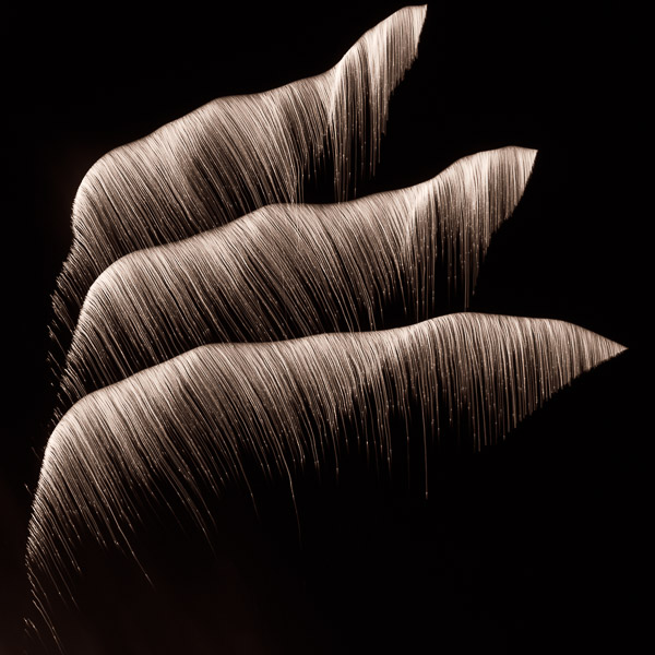 "Pyrotechnic #255", Copyright Jim Nickelson. All Rights Reserved.