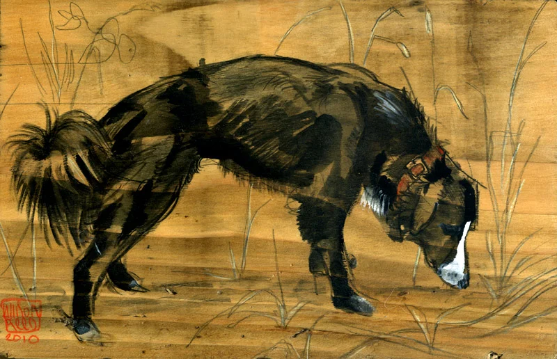 blackfarmdog.jpg