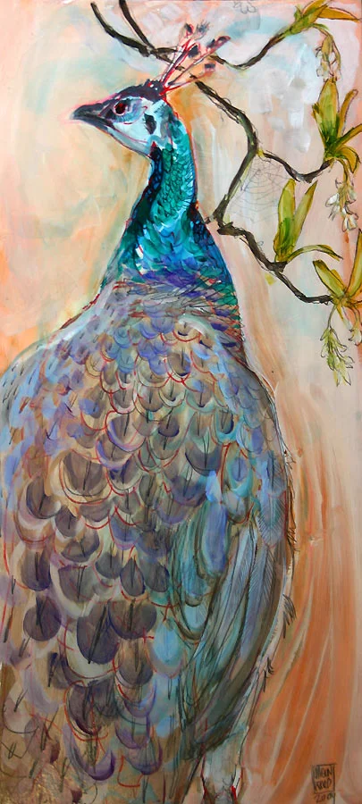 peahen.jpg