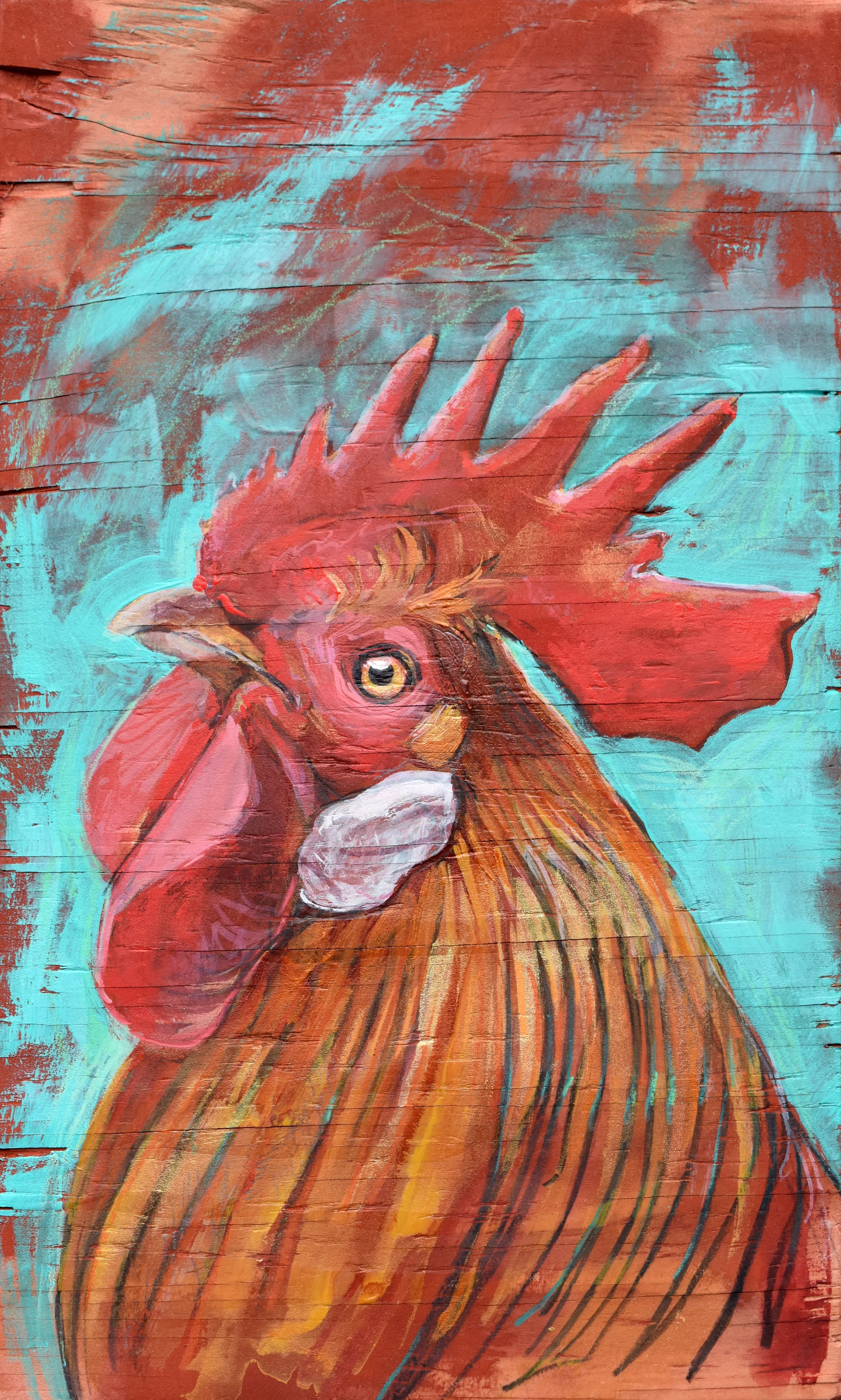 allisoncurtis-blueredrooster.jpg