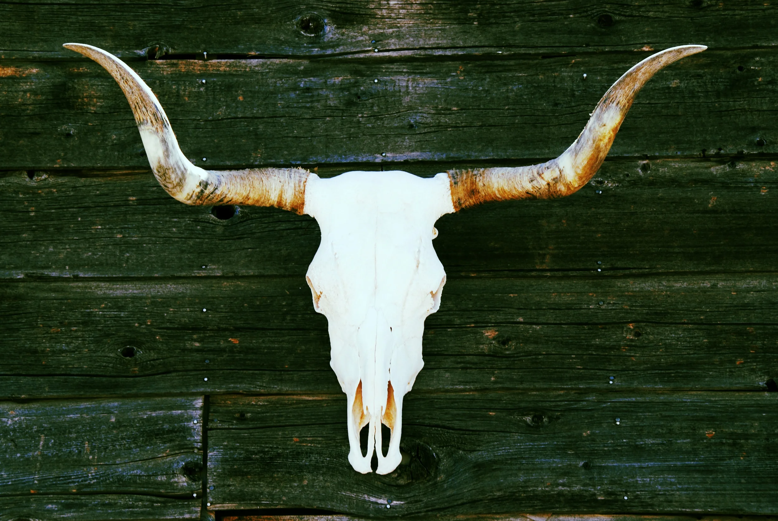 AdobeStock_42401192.jpeg