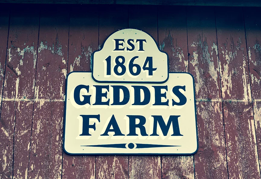 Geddes Farms Photos 8-31-13-0987.jpg