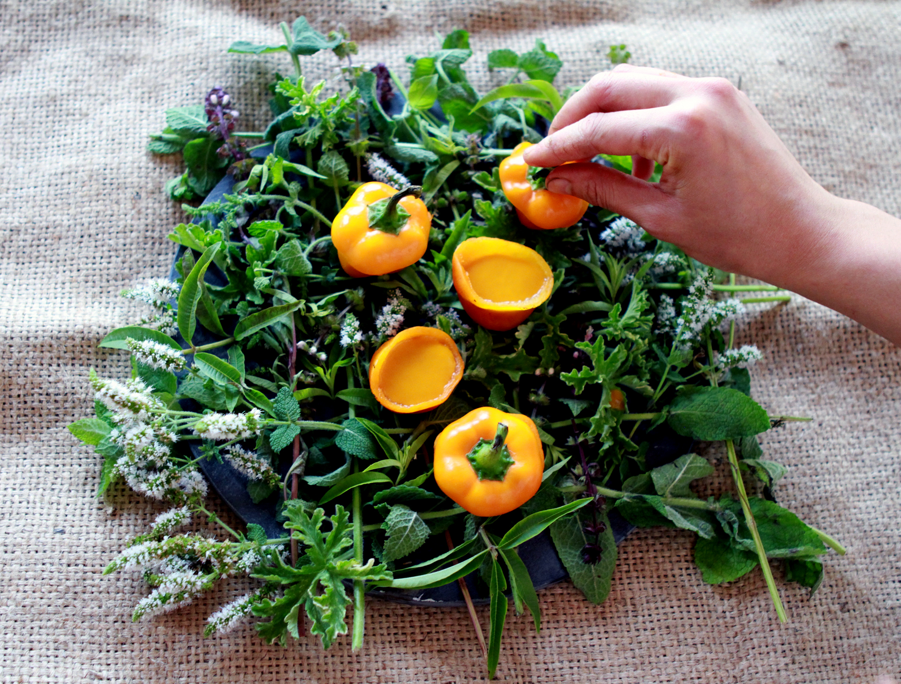 for Stone Barns Center for Food & Agriculture