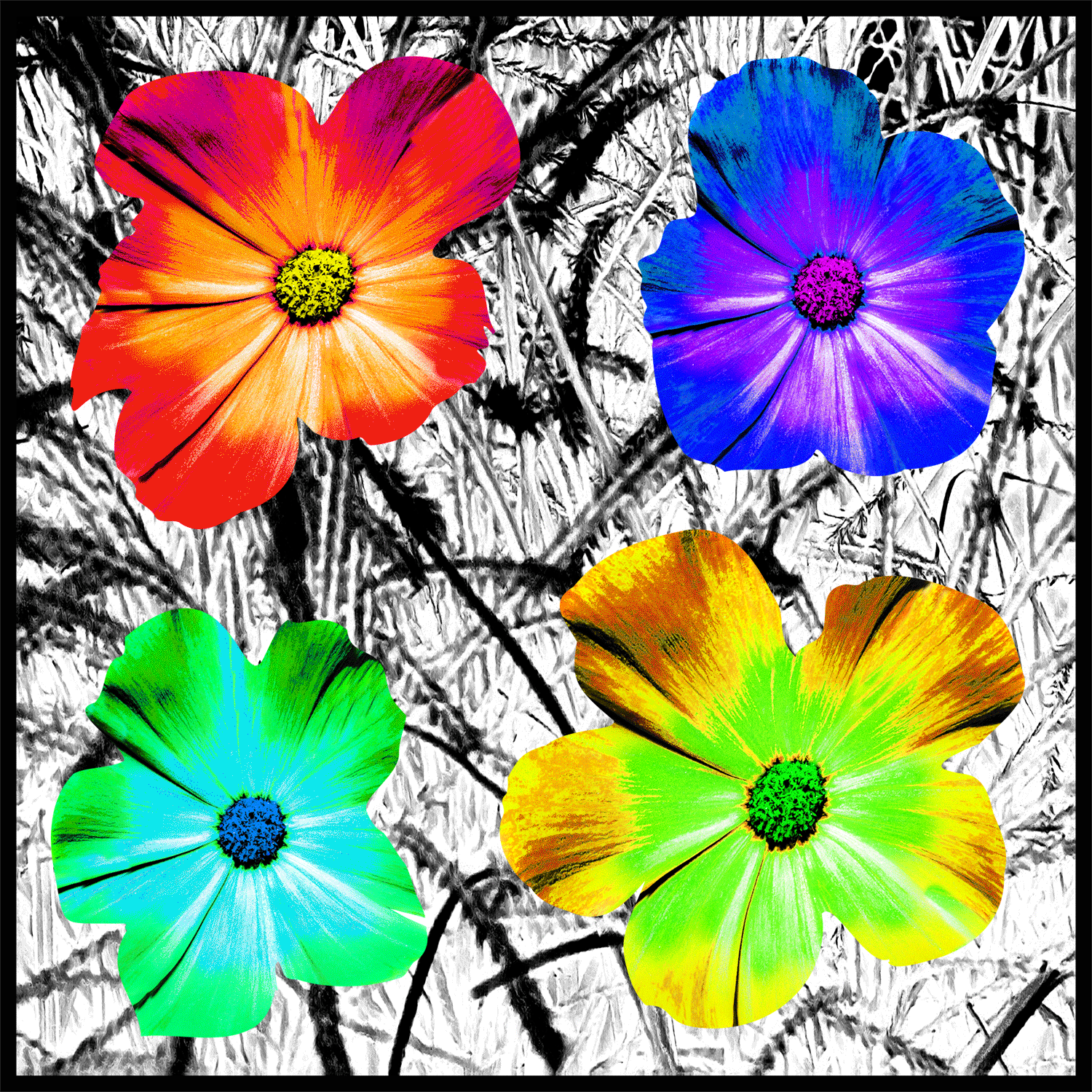 4-flower-cutout-58x58-.gif