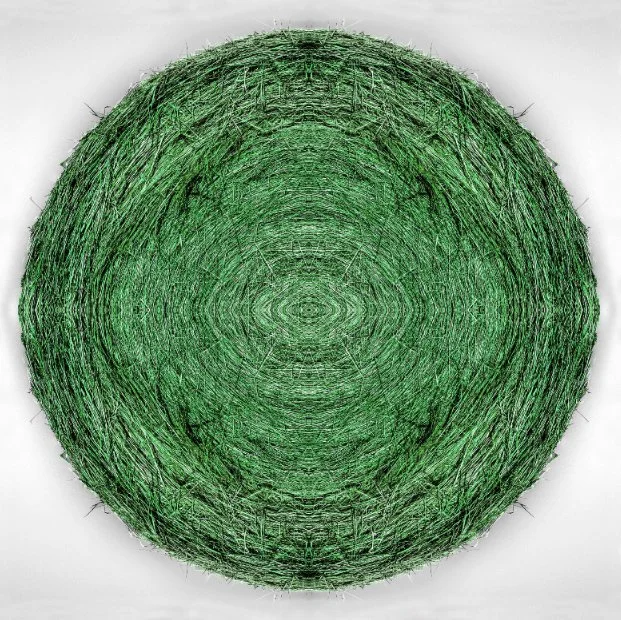 green.jpg