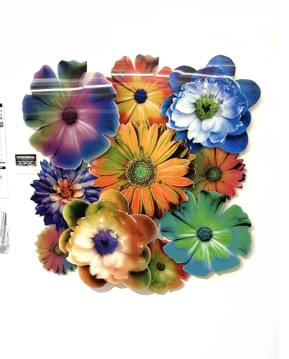 48x48 disco daisies install.jpg