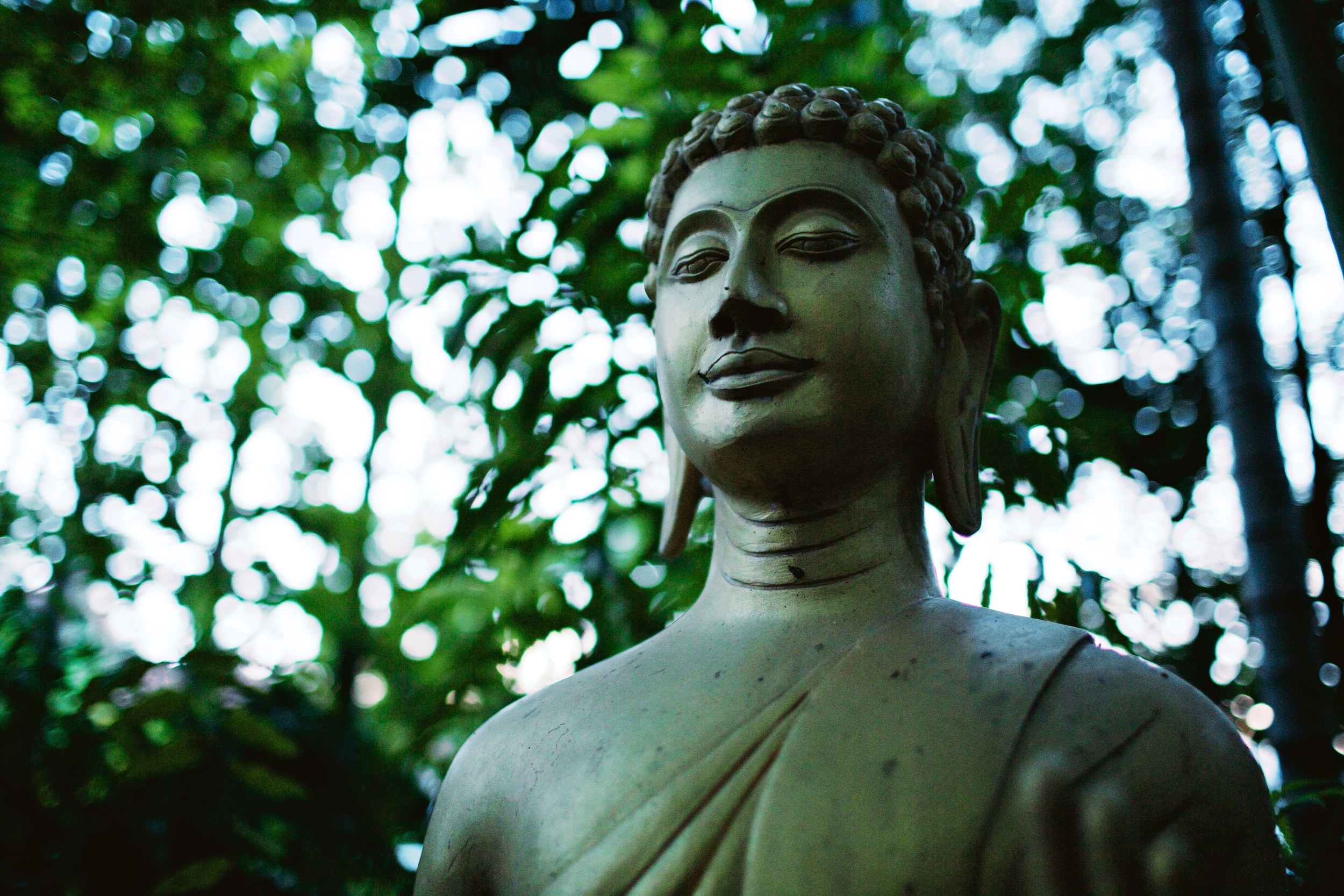 Buddha