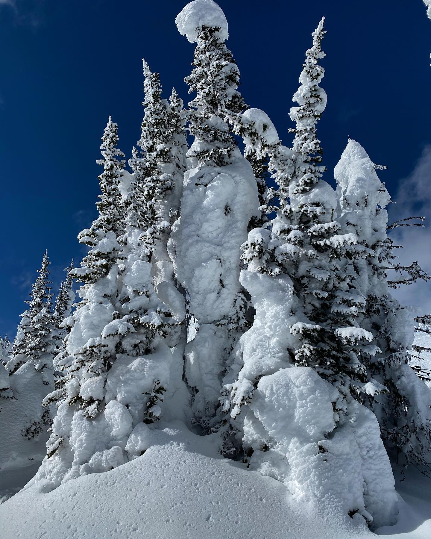 Some snow ghost up in Big White couple weeks back which was unbeknownst to me my last day snowboarding for the season. Missing it a bit but enjoying the family tim and staying safe. Stay safe, make good choices!