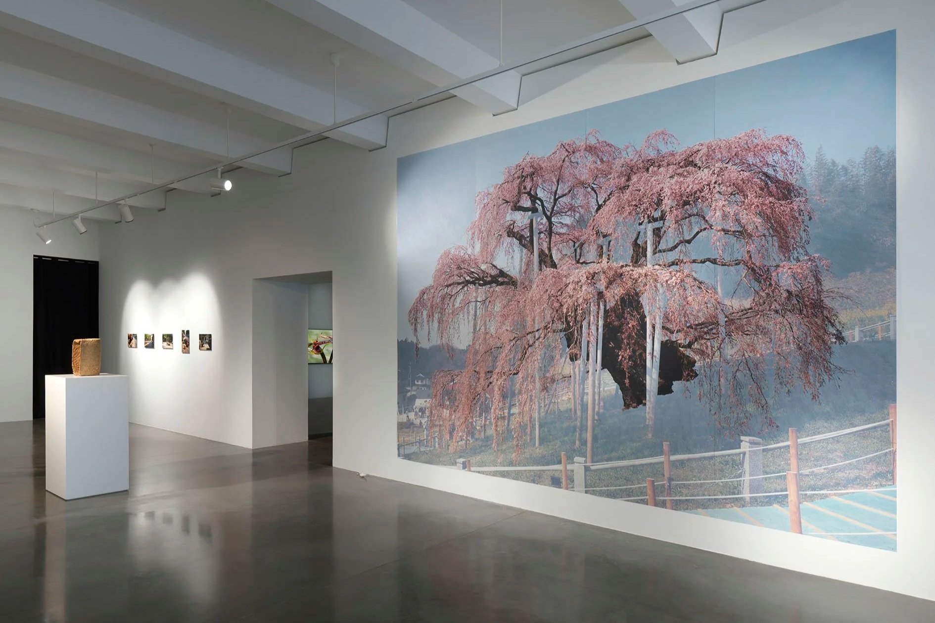 An Intimacy with Strangers_AA_2026_Jens Ziehe_2.jpg