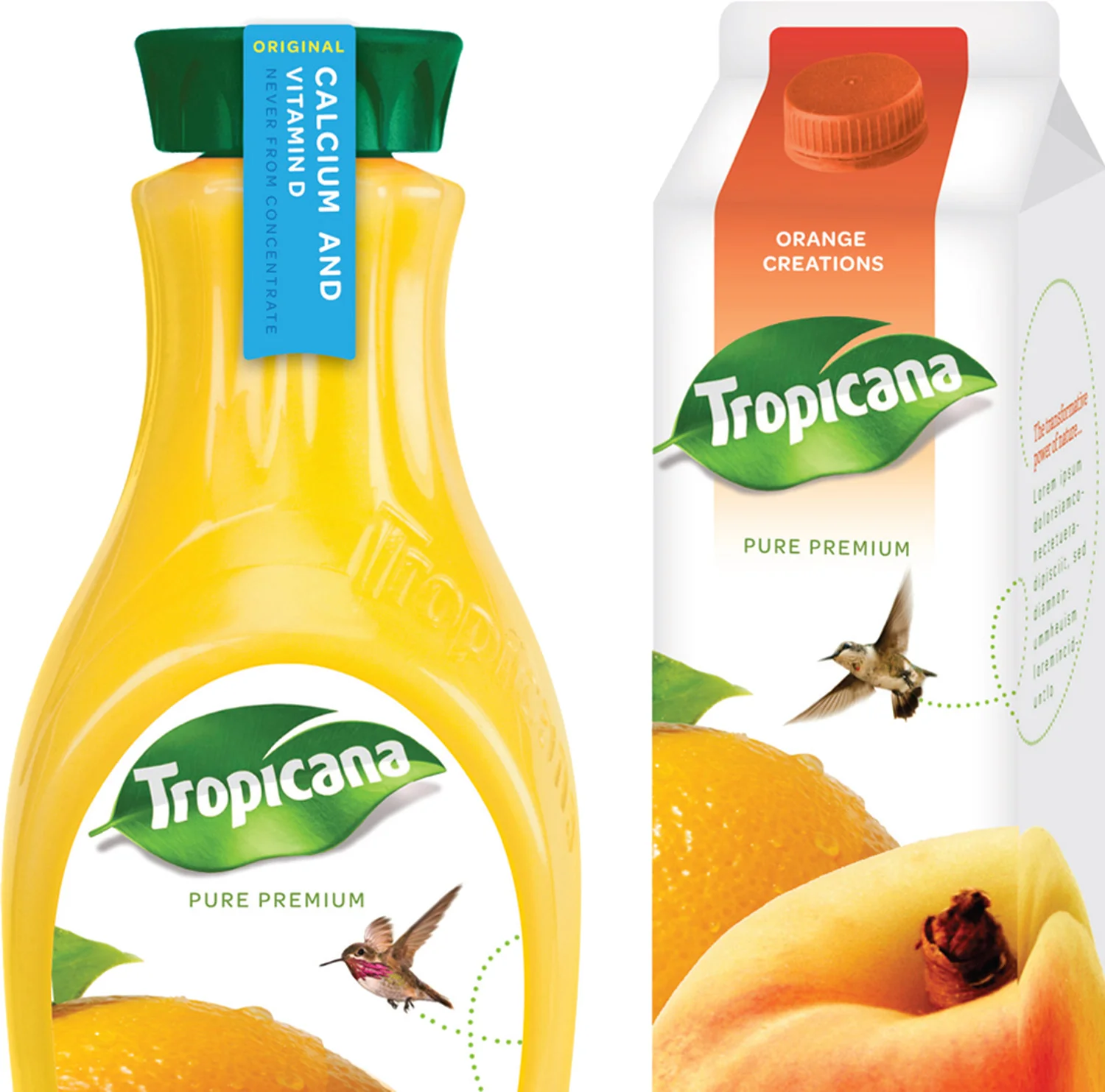 Tropicana_HumBird_030911_YS-3_CROP1.jpg