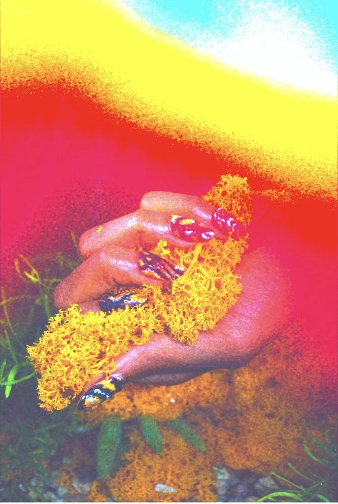 Iris Hill _ Nature Nails _ Surrealist Play _ Rainbow top.jpg