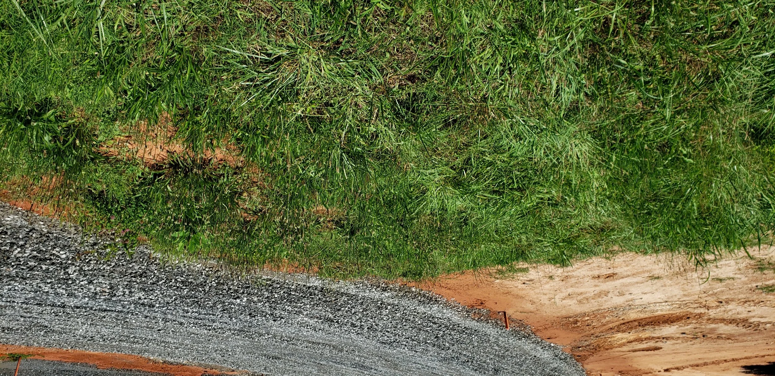 20190614_120143.jpg