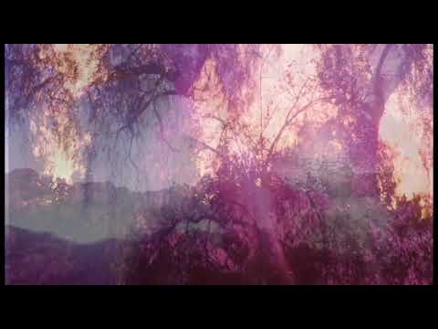 Ojai Sun