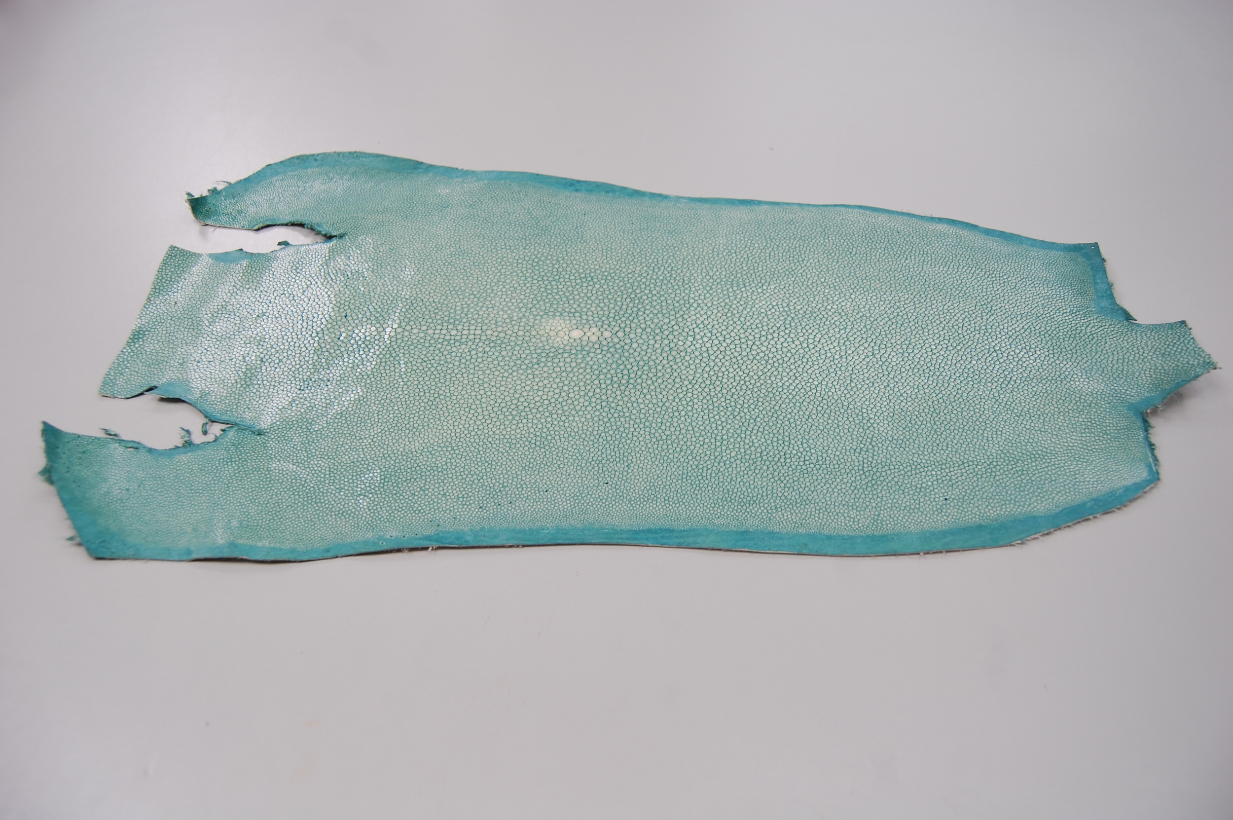 shagreen 2.jpg