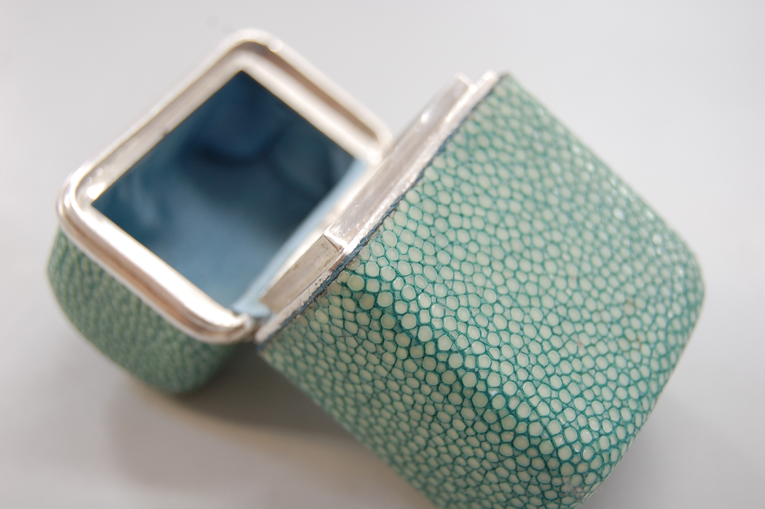 Shagreen box 26.jpg