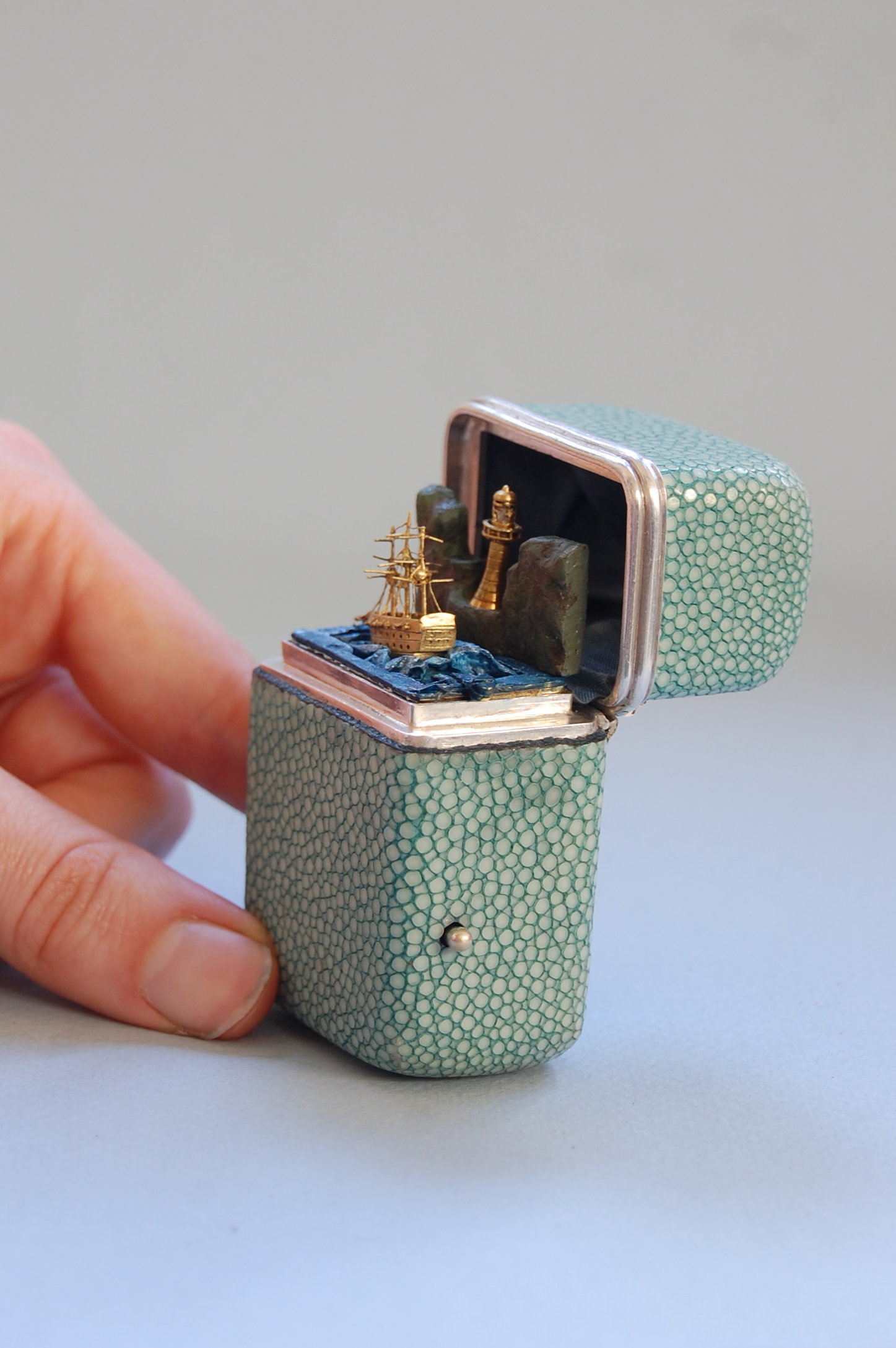 shagreen with ship 3.jpg