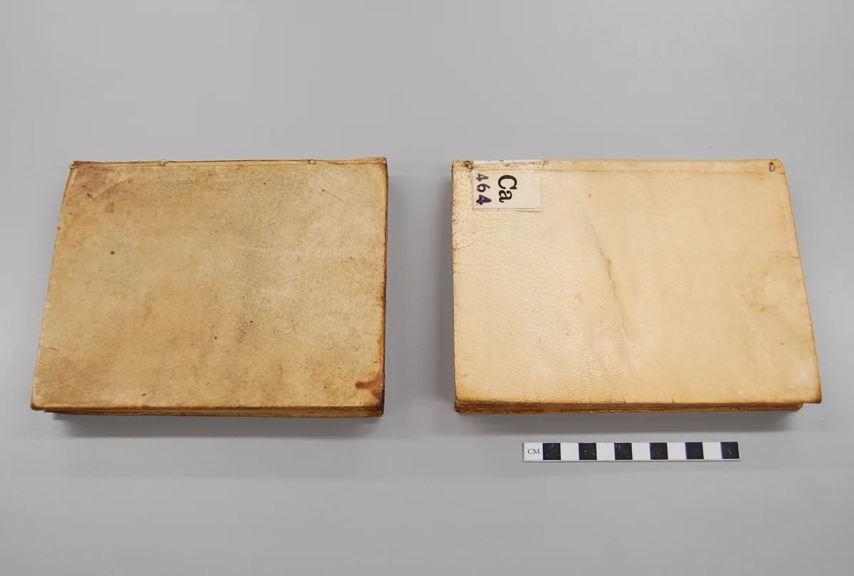 Two copies of a 17th century Dutch text. Different bindings... 