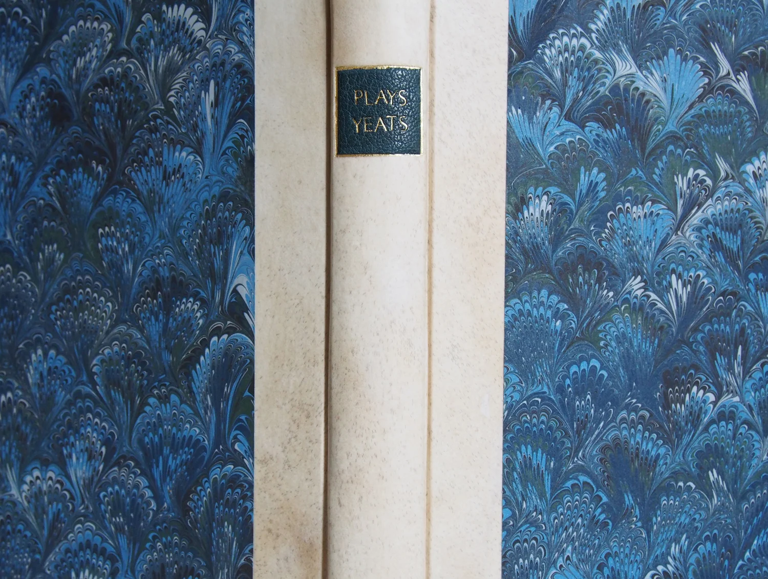 Yeats 9.jpg