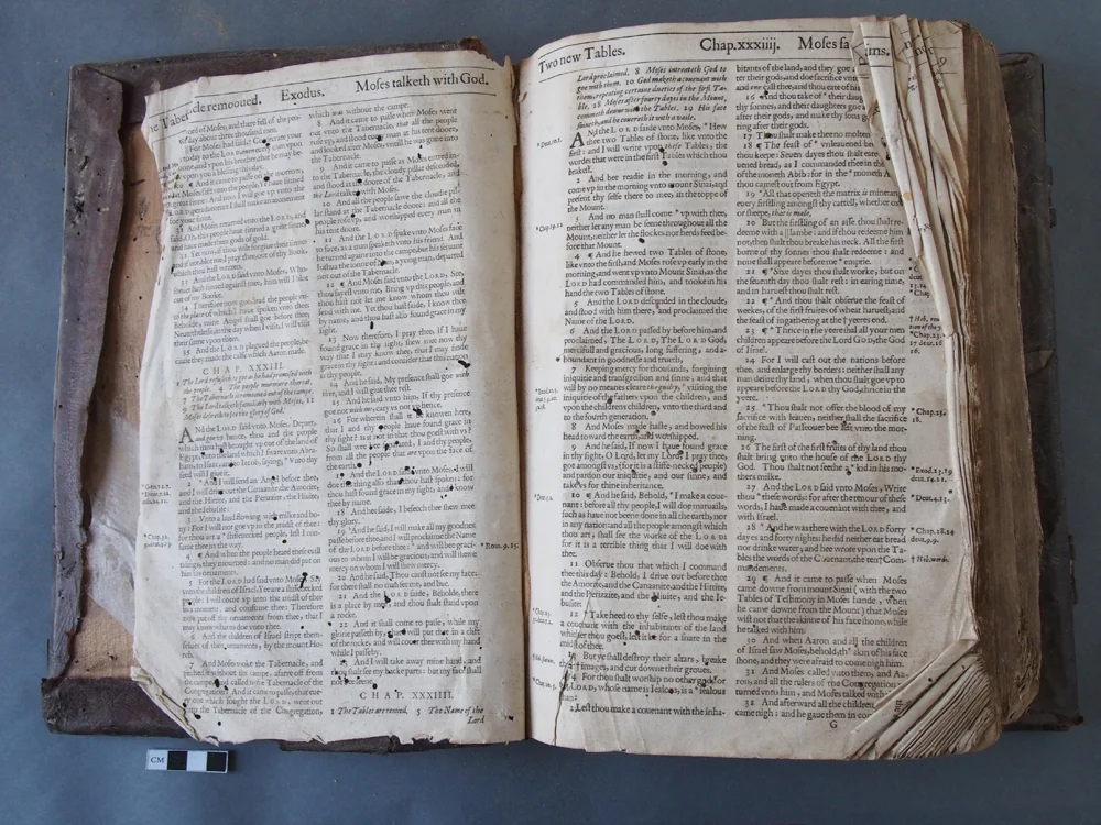 Forgue Bible BT 2.jpg
