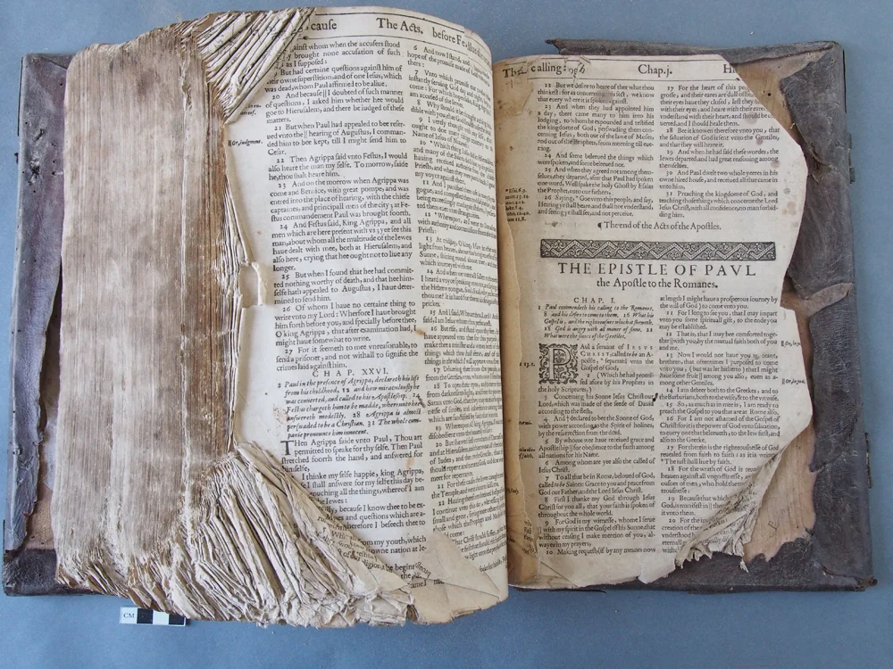 Forgue Bible BT 17.jpg