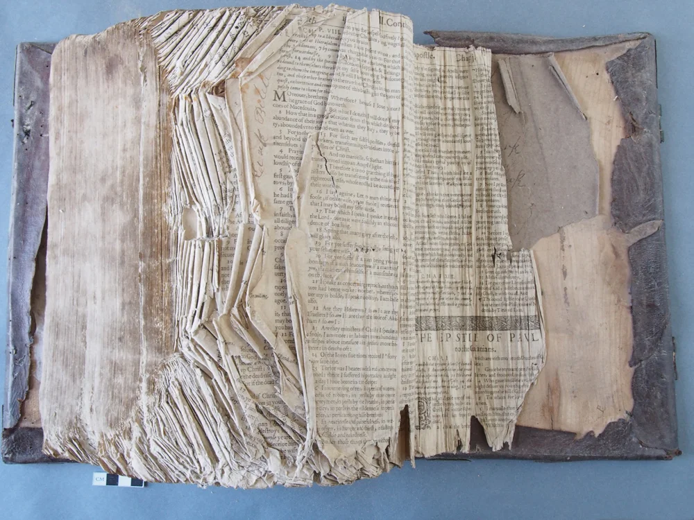Forgue Bible BT 20.jpg