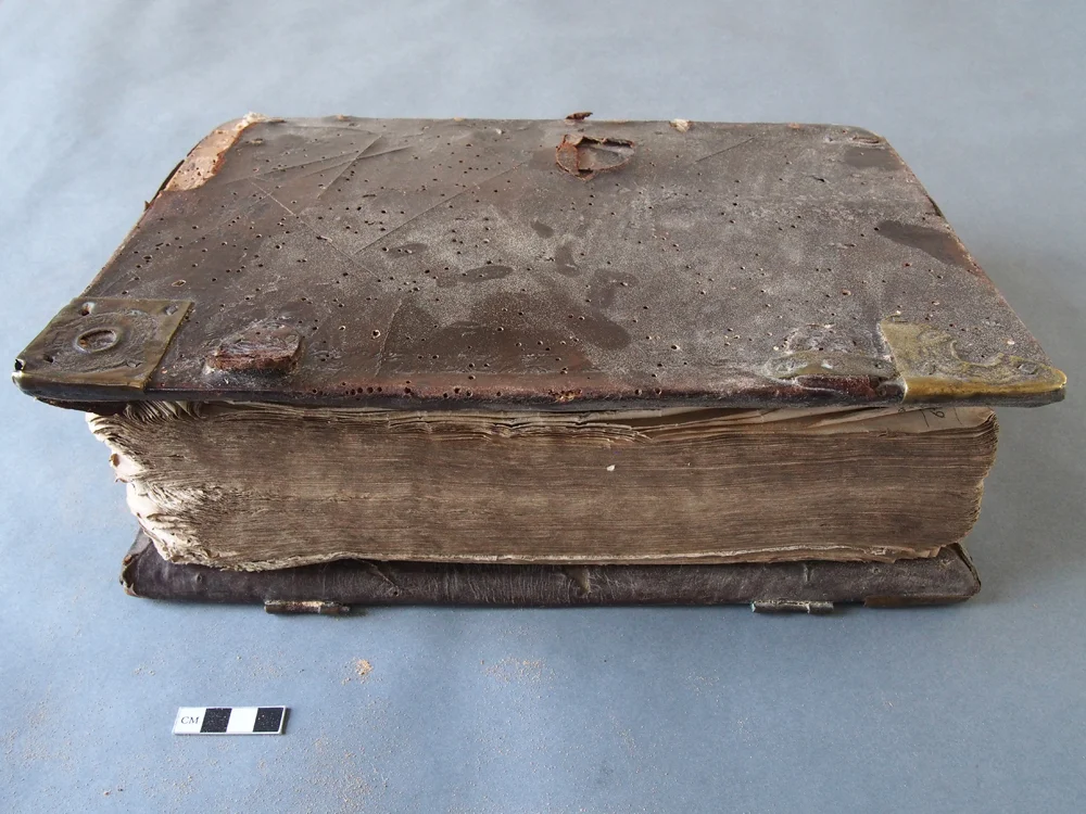 Forgue Bible BT 24 fore-edge upper board.jpg