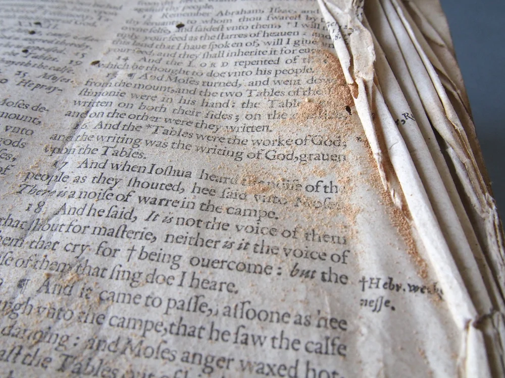 Forgue Bible BT 39.jpg