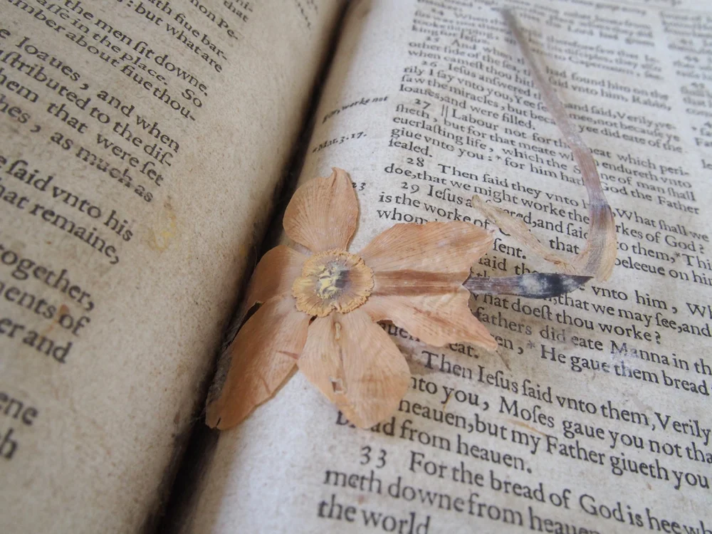 Forgue Bible BT 47.jpg