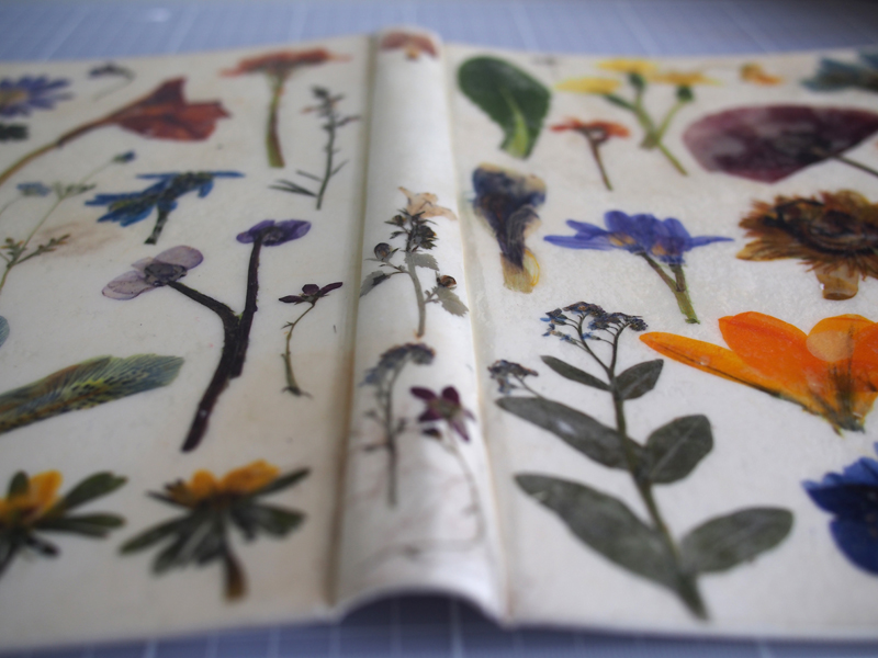 After the spine was rounded to fit the textblock