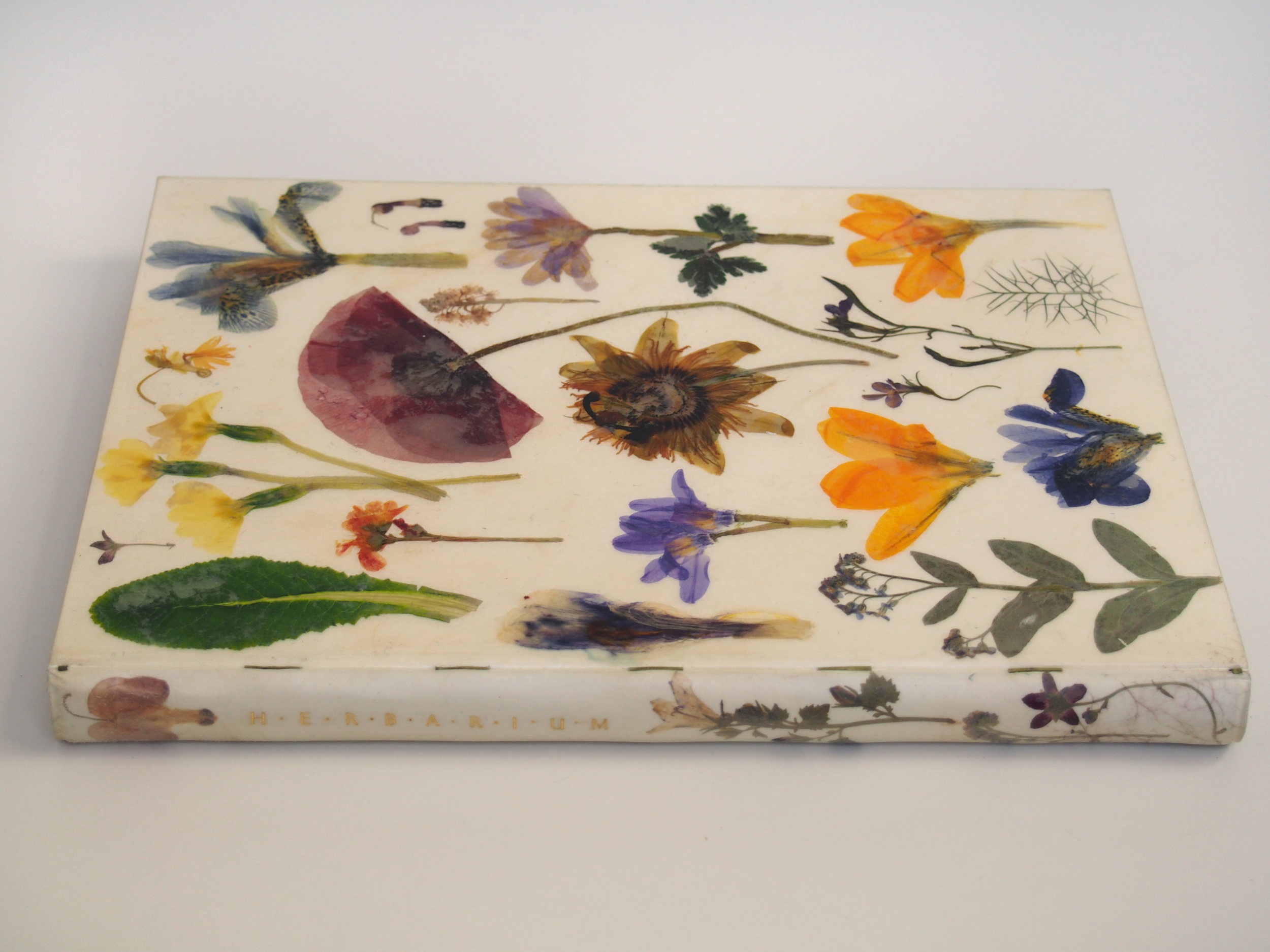 Herbarium 1.jpg