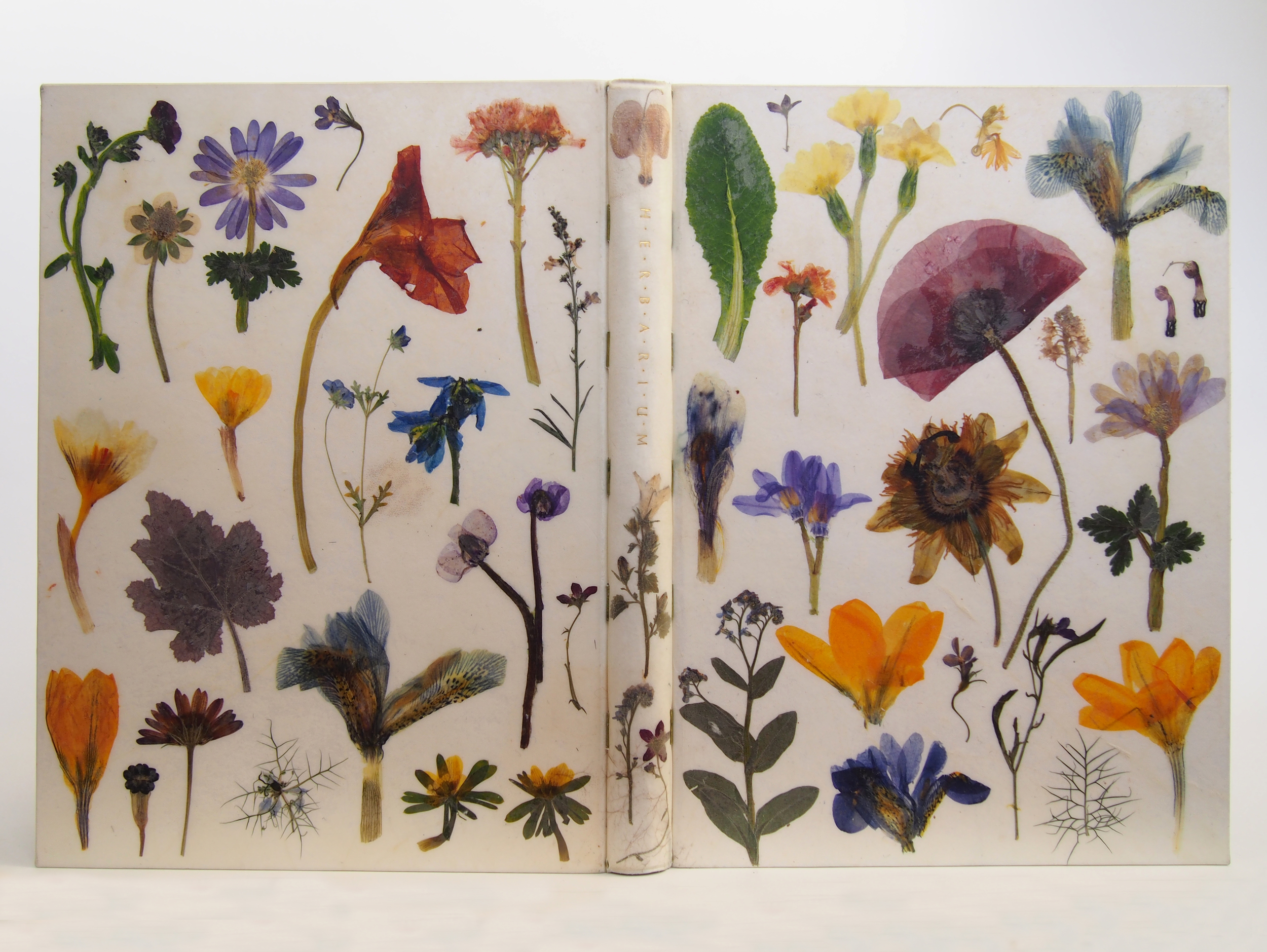 Herbarium 14.jpg