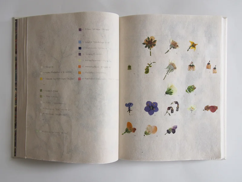Herbarium 30.jpg