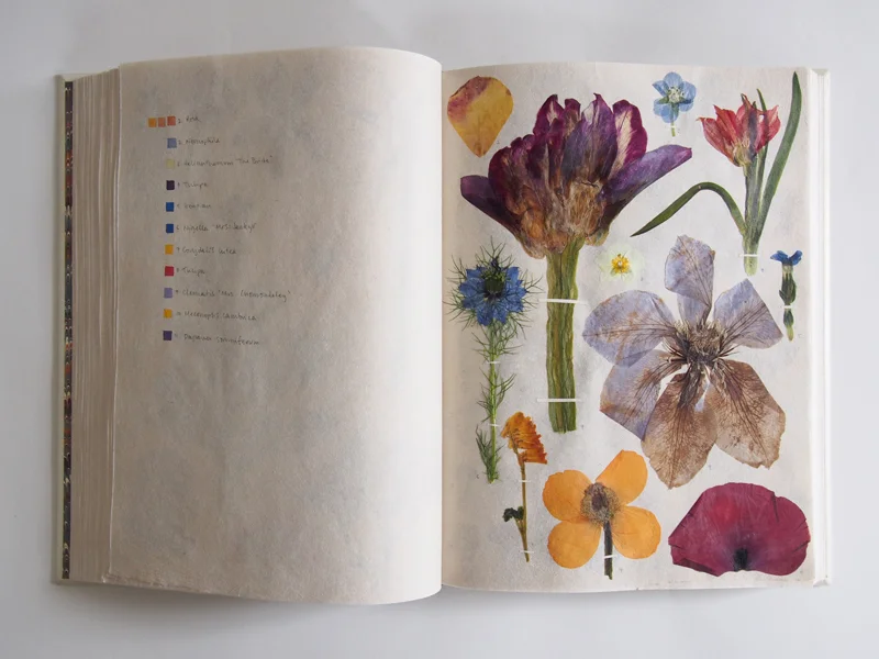 Herbarium 32.jpg