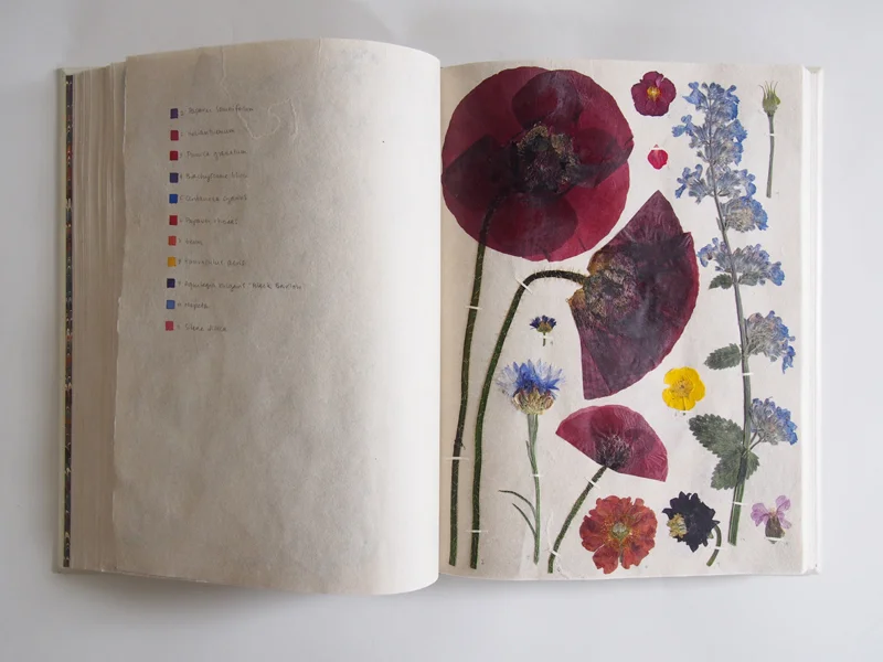 Herbarium 34.jpg