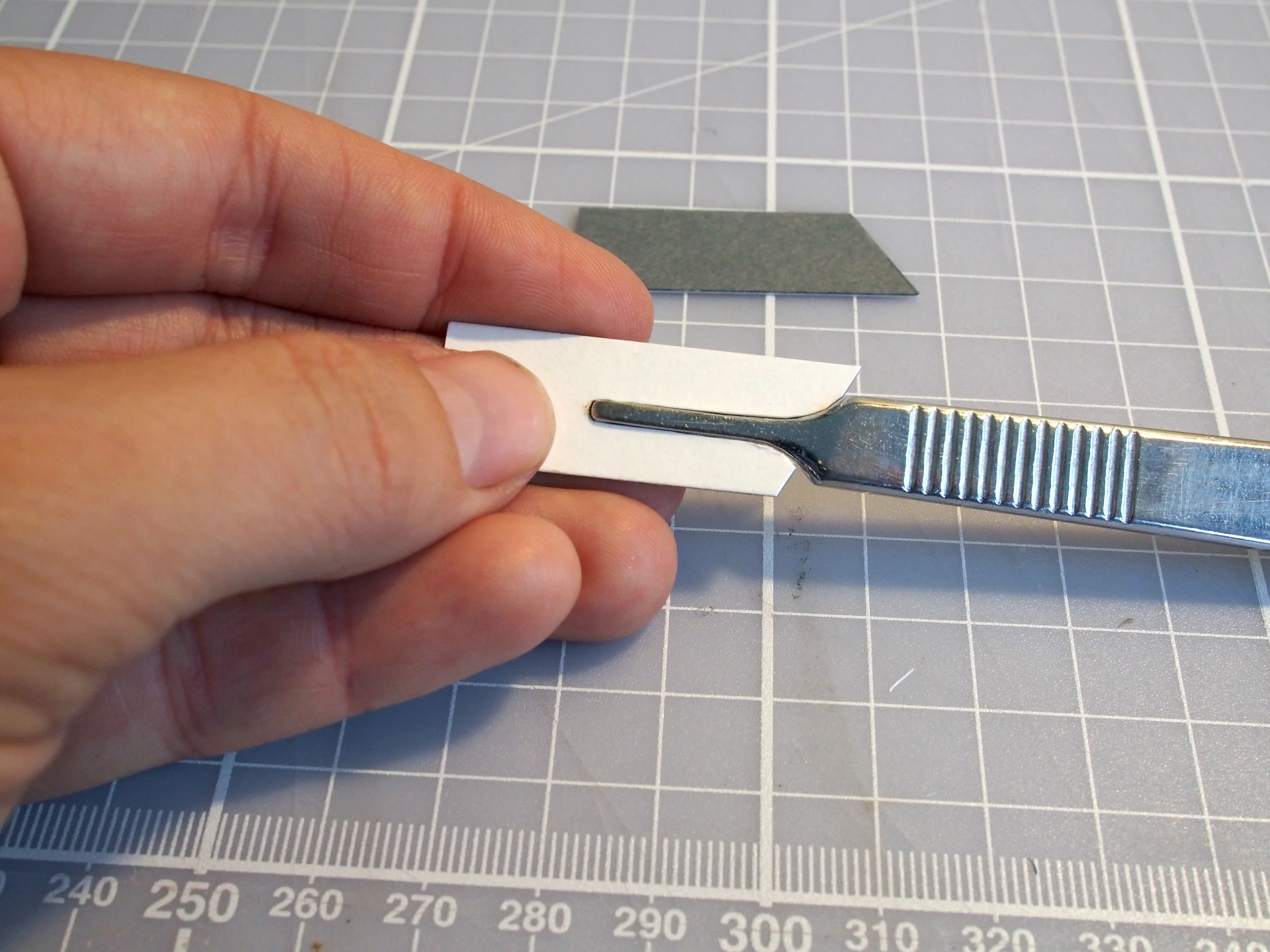 Shagreen Scalpel Covers — Bainbridge Conservation