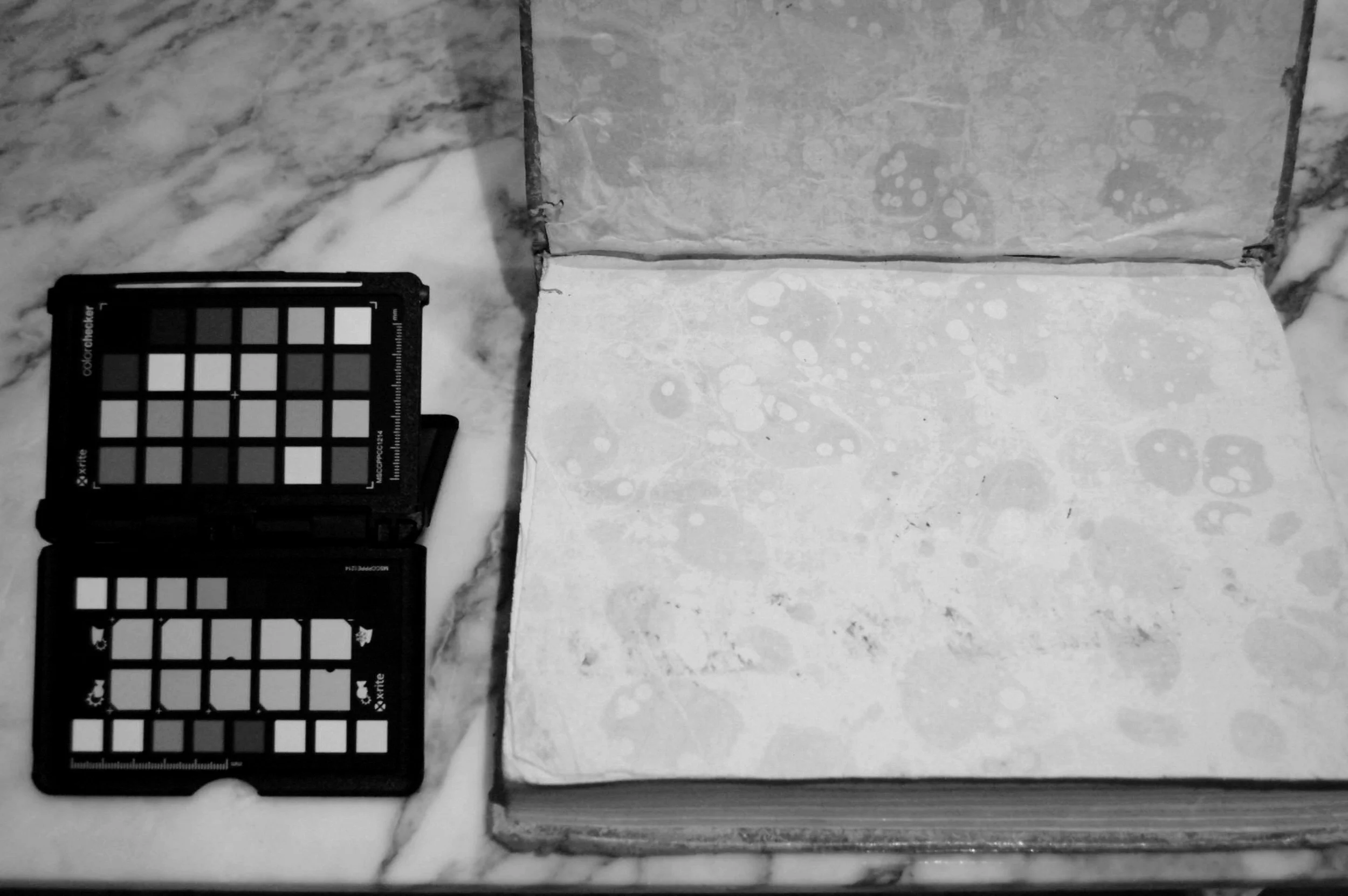 Black and white IR photo