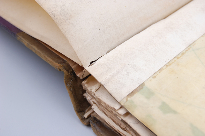 WD0093+BT+15+paper+tail.jpg