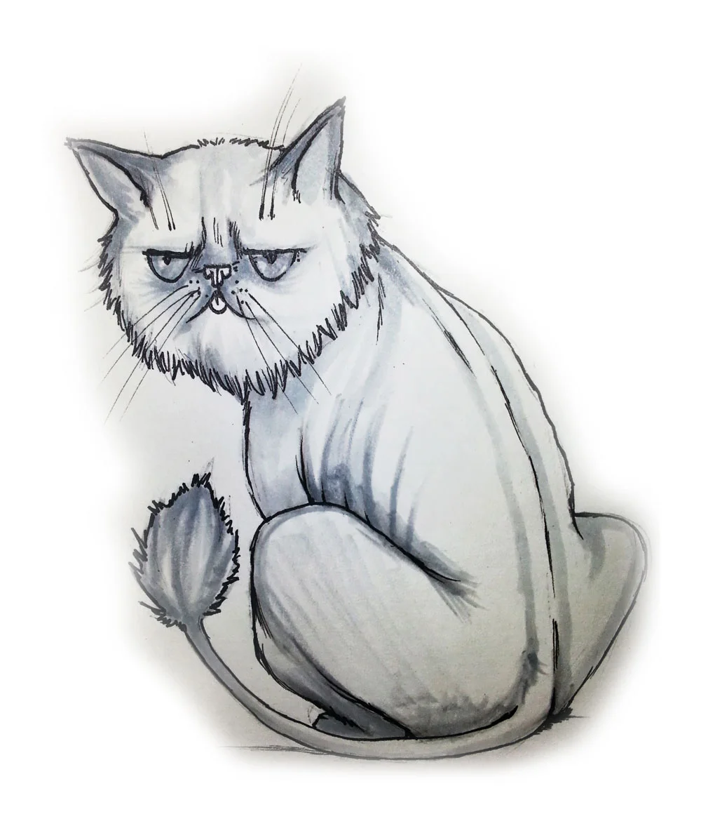 plehcat.jpg