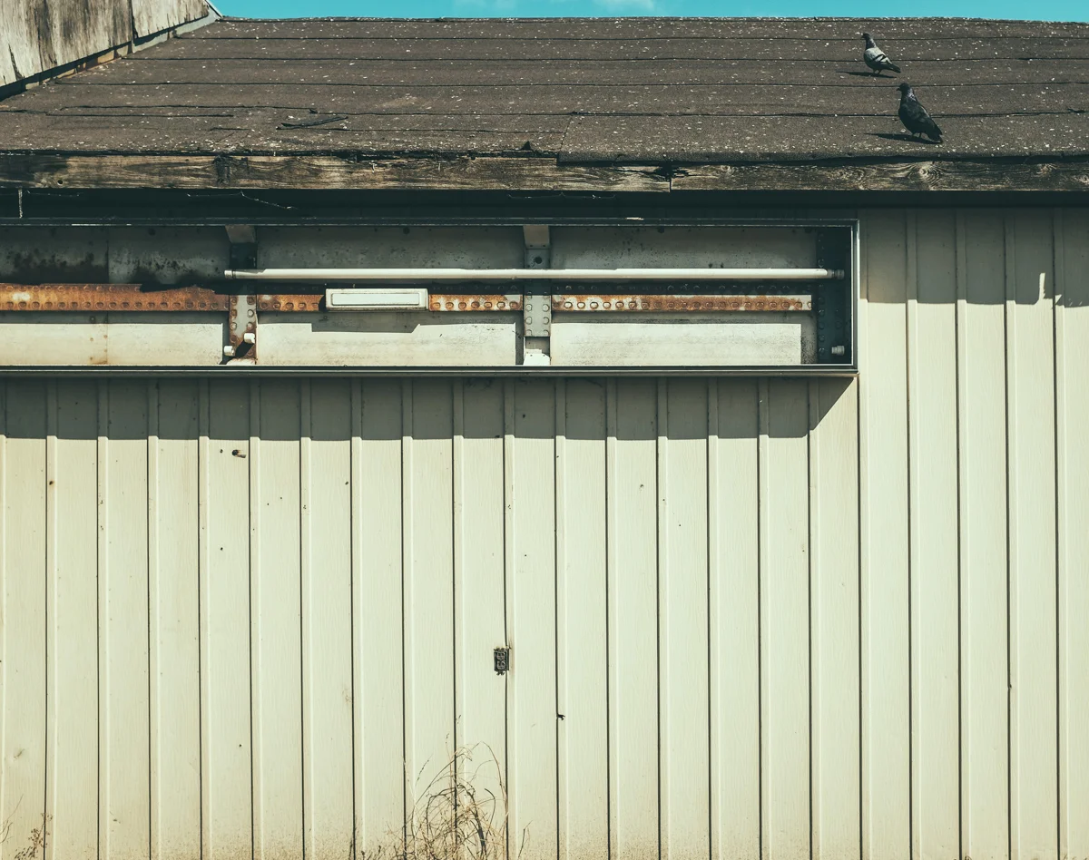 downtown_walk_march15_20154.jpg