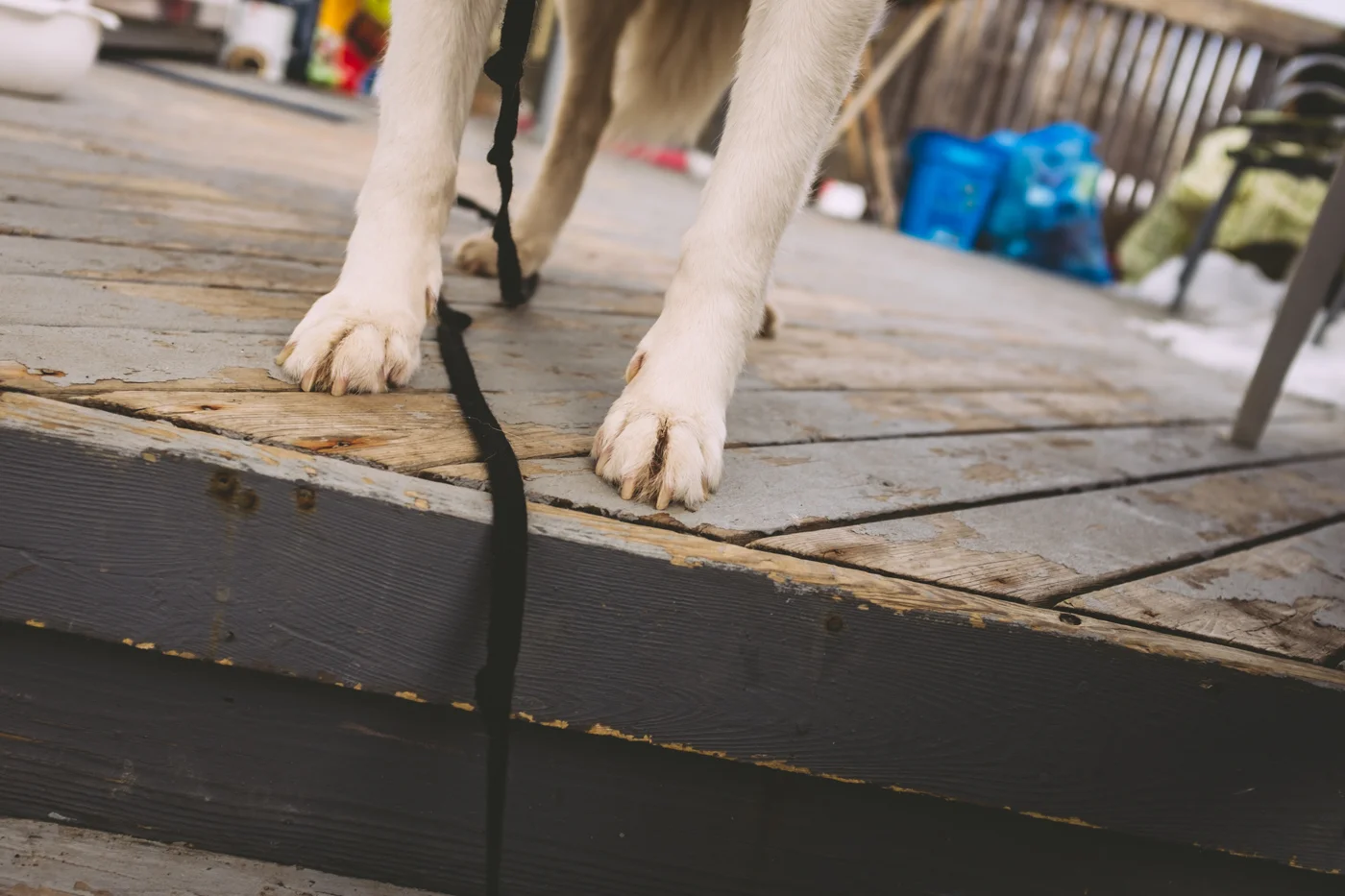 triptoduluth_February 26th and 27th1.jpg