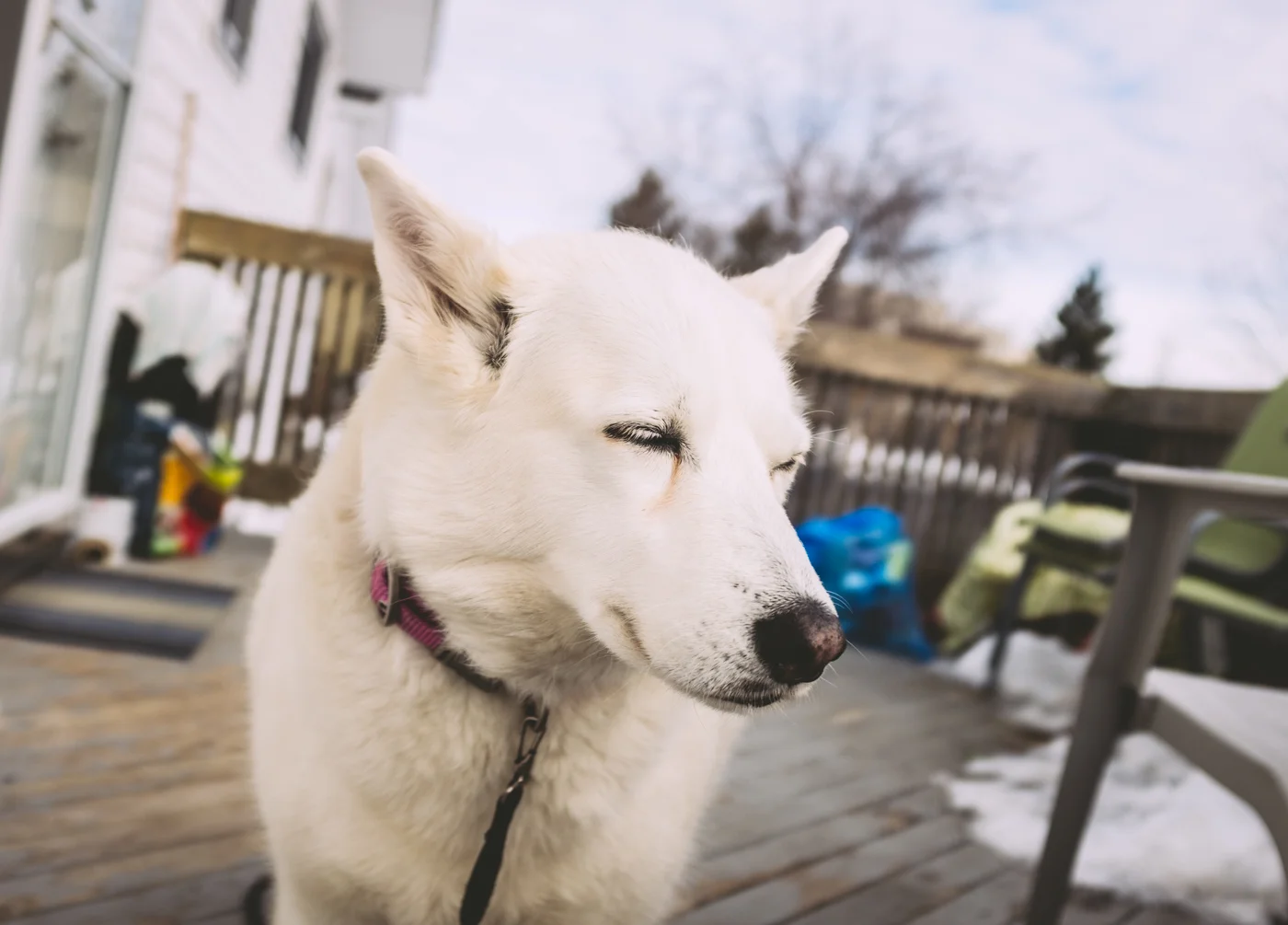 triptoduluth_February 26th and 27th2.jpg