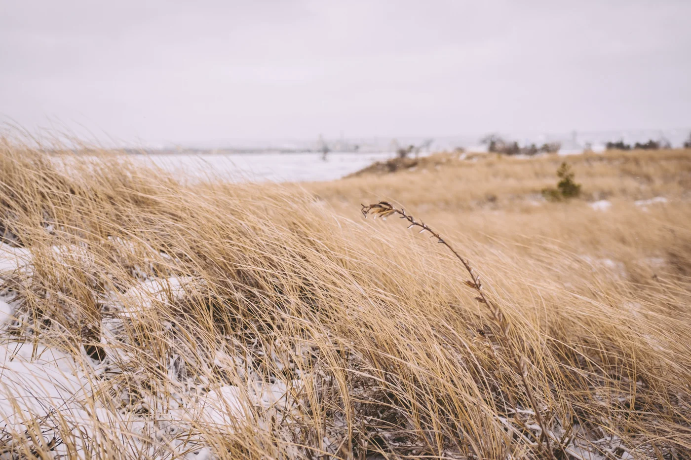 triptoduluth_February 26th and 27th80.jpg